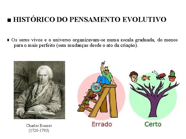 ■ HISTÓRICO DO PENSAMENTO EVOLUTIVO ♦ Os seres vivos e o universo organizavam-se numa