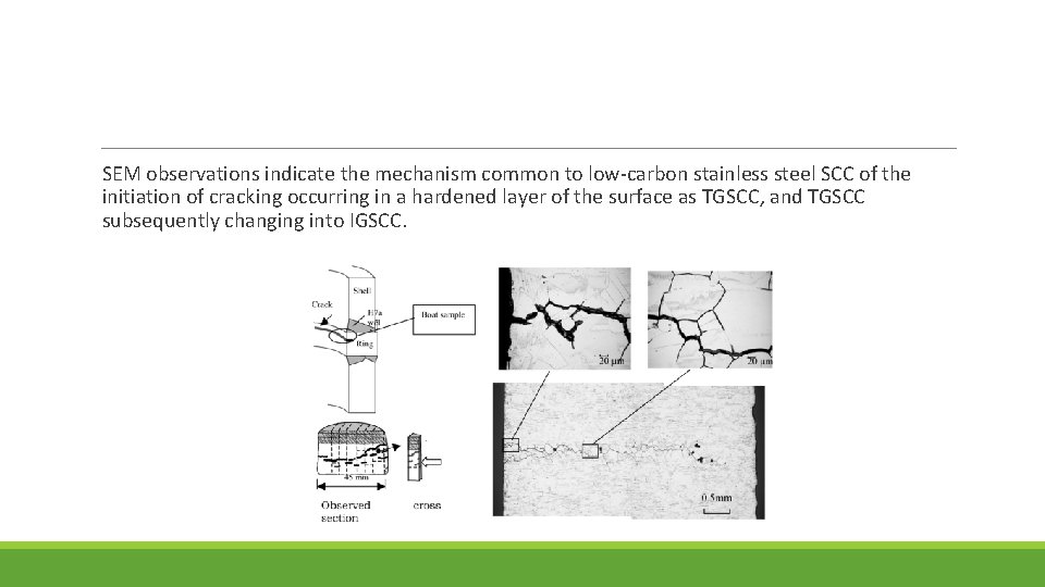 SEM observations indicate the mechanism common to low-carbon stainless steel SCC of the initiation
