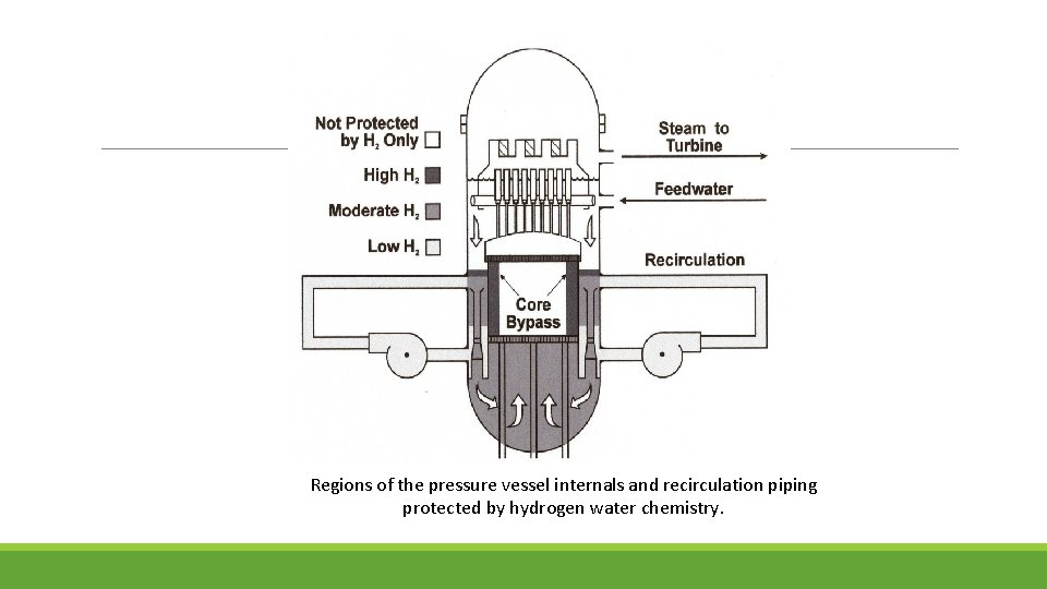 Regions of the pressure vessel internals and recirculation piping protected by hydrogen water chemistry.