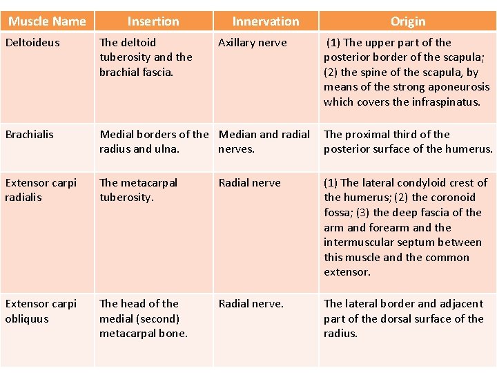 Muscle Name Insertion Innervation Axillary nerve Origin Deltoideus The deltoid tuberosity and the brachial