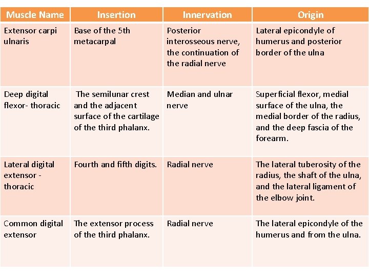 Muscle Name Insertion Innervation Posterior interosseous nerve, the continuation of the radial nerve Origin