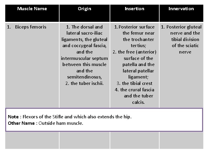Muscle Name 1. Biceps femoris Origin Insertion Innervation 1. The dorsal and 1. Posterior