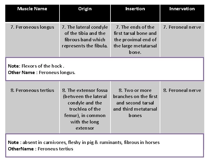 Muscle Name Origin Insertion Innervation 7. Peroneous longus 7. The lateral condyle of the