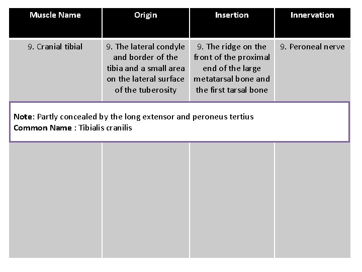 Muscle Name 9. Cranial tibial Origin Insertion 9. The lateral condyle 9. The ridge