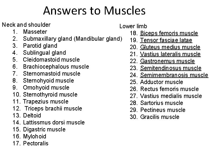 Answers to Muscles Neck and shoulder Lower limb 1. Masseter 18. Biceps femoris muscle