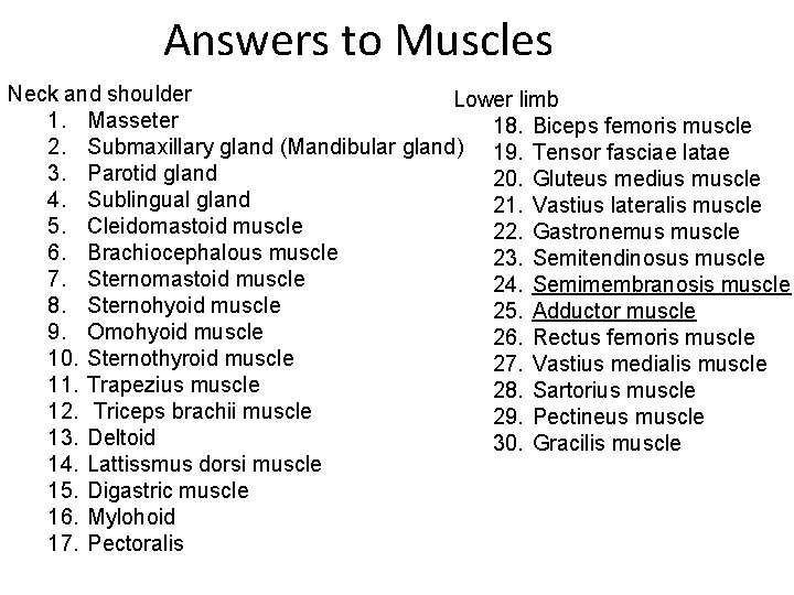 Answers to Muscles Neck and shoulder Lower limb 1. Masseter 18. Biceps femoris muscle
