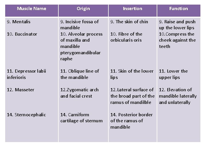 Muscle Name 9. Mentalis Origin Insertion Function 9. Incisive fossa of mandible 10. Alveolar