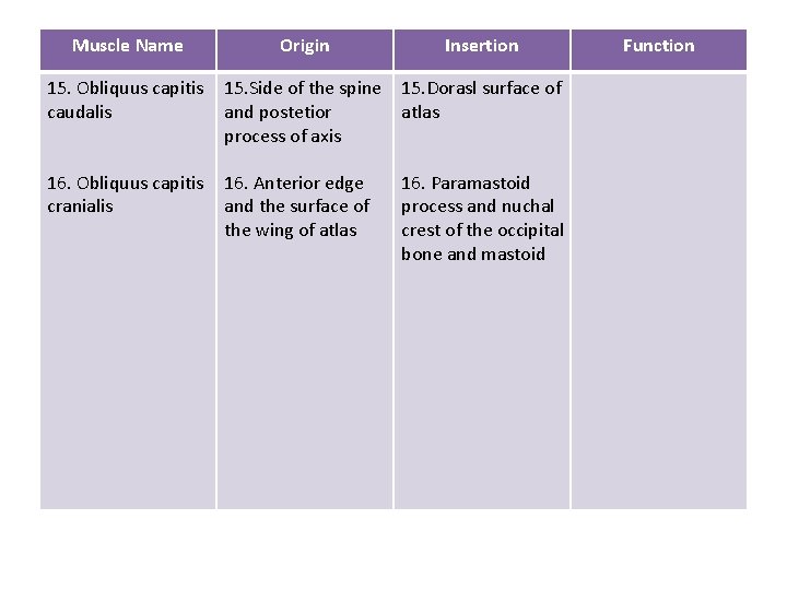 Muscle Name Origin Insertion 15. Obliquus capitis caudalis 15. Side of the spine 15.