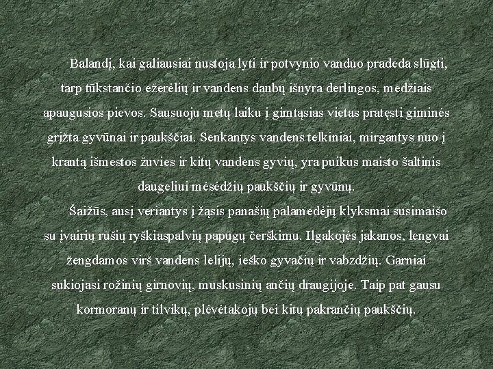 Balandį, kai galiausiai nustoja lyti ir potvynio vanduo pradeda slūgti, tarp tūkstančio ežerėlių ir