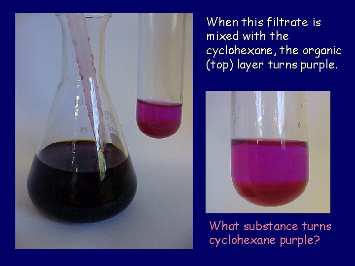 When this filtrate is mixed with the cyclohexane, the organic (top) layer turns purple.