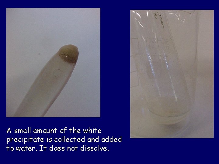 A small amount of the white precipitate is collected and added to water. It