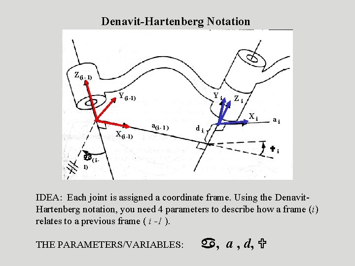 Denavit-Hartenberg Notation Z(i - 1) Y(i -1) X(i -1) Yi a(i - 1 )