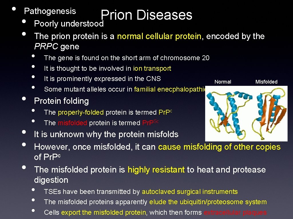  • Pathogenesis Poorly understood The prion protein is a normal cellular protein, encoded
