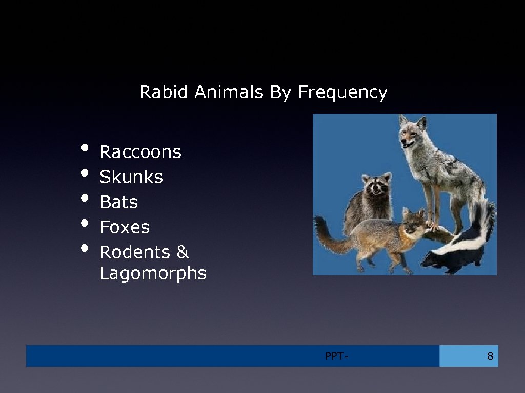 Rabid Animals By Frequency • • • Raccoons Skunks Bats Foxes Rodents & Lagomorphs