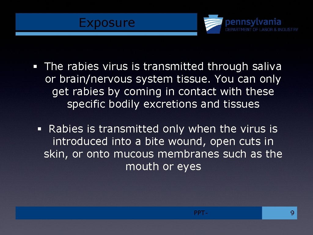 Exposure § The rabies virus is transmitted through saliva or brain/nervous system tissue. You