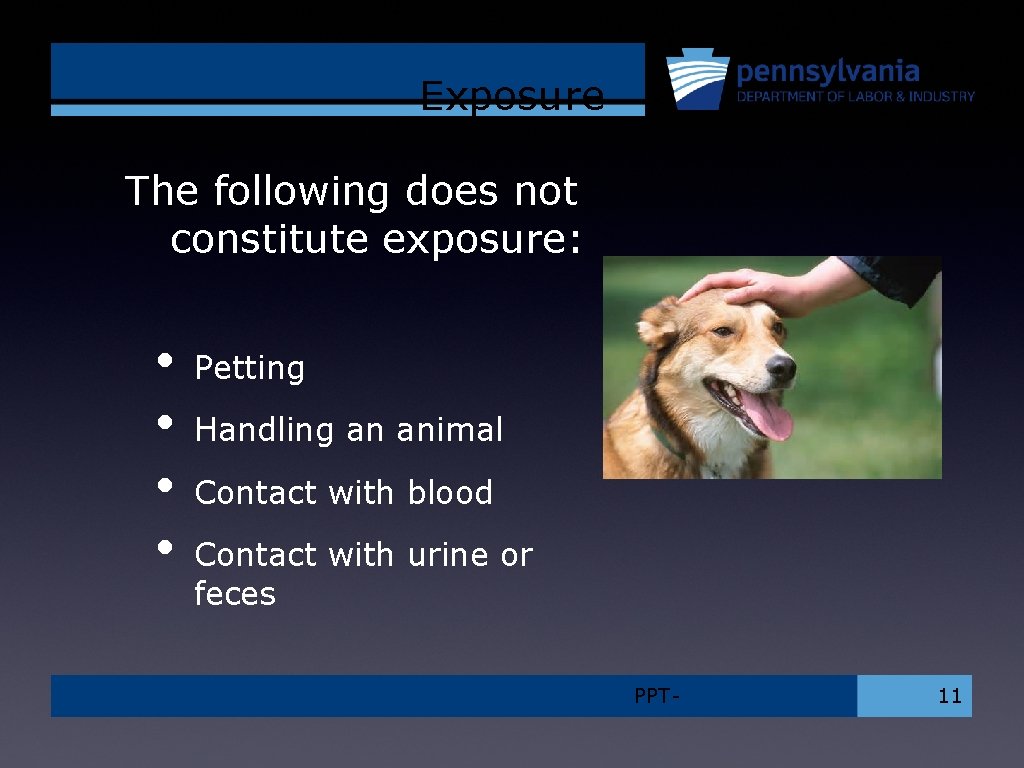 Exposure The following does not constitute exposure: • • Petting Handling an animal Contact