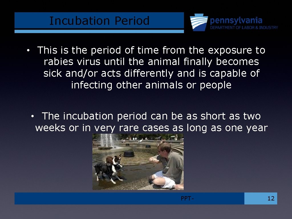 Incubation Period • This is the period of time from the exposure to rabies