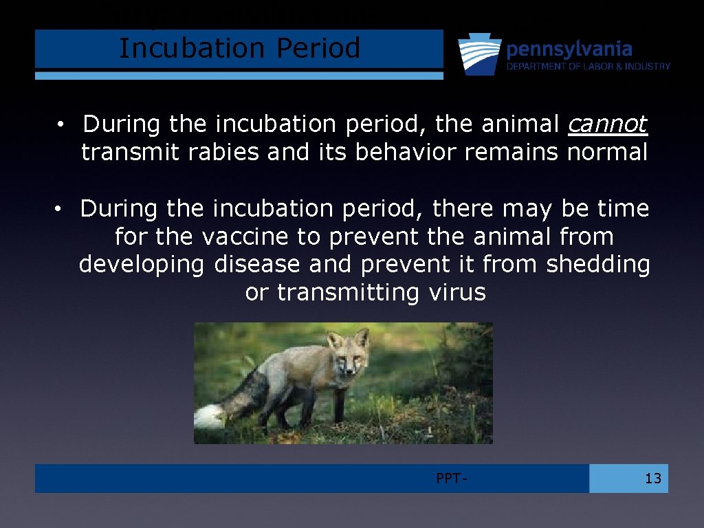 Step 1: Health Care Incubation Period • During the incubation period, the animal cannot