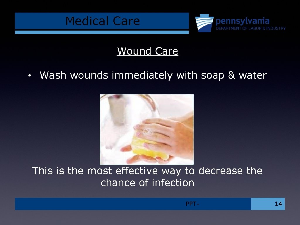 Medical Care Wound Care • Wash wounds immediately with soap & water This is