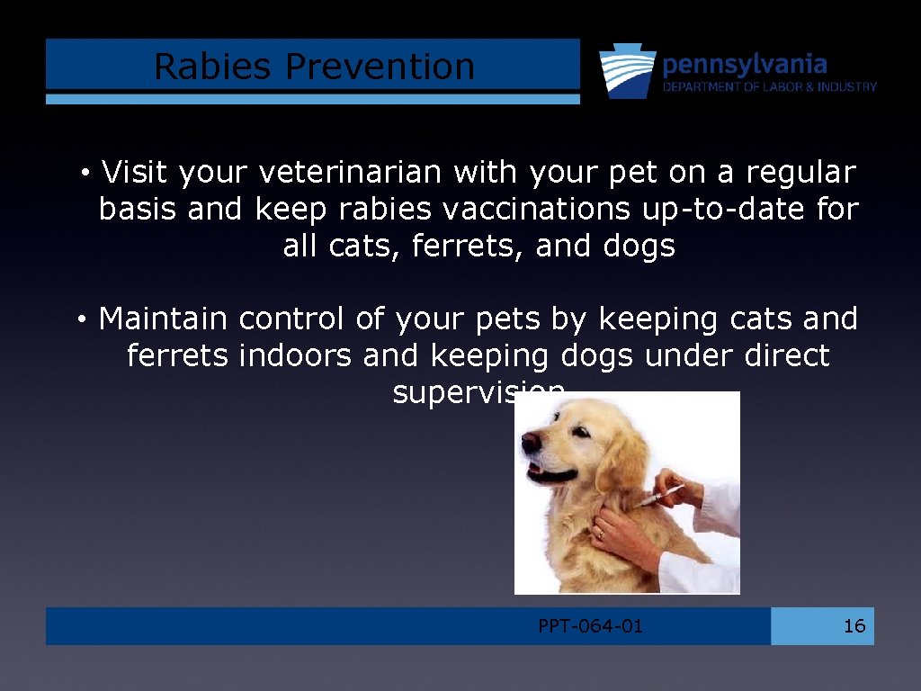 Rabies Prevention • Visit your veterinarian with your pet on a regular basis and