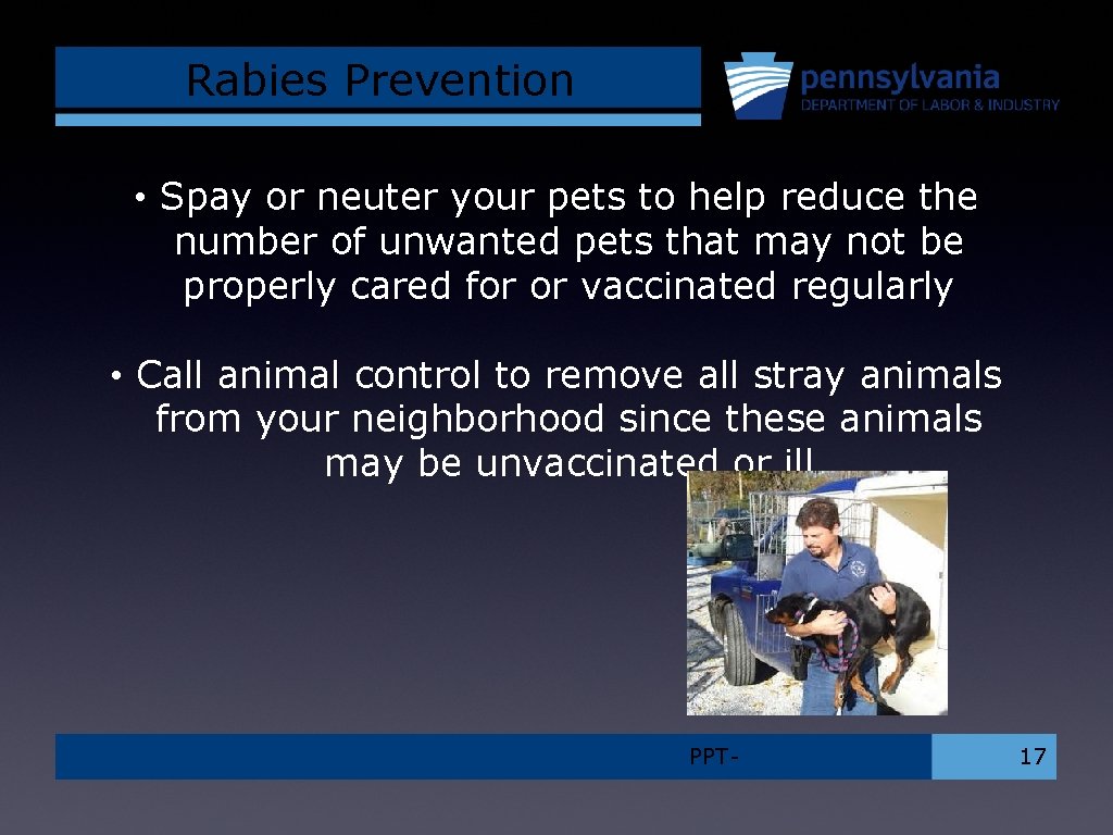 Rabies Prevention • Spay or neuter your pets to help reduce the number of
