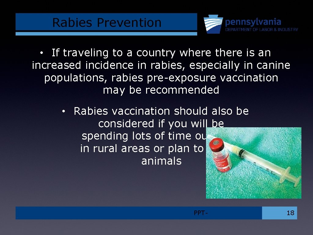 Rabies Prevention • If traveling to a country where there is an increased incidence