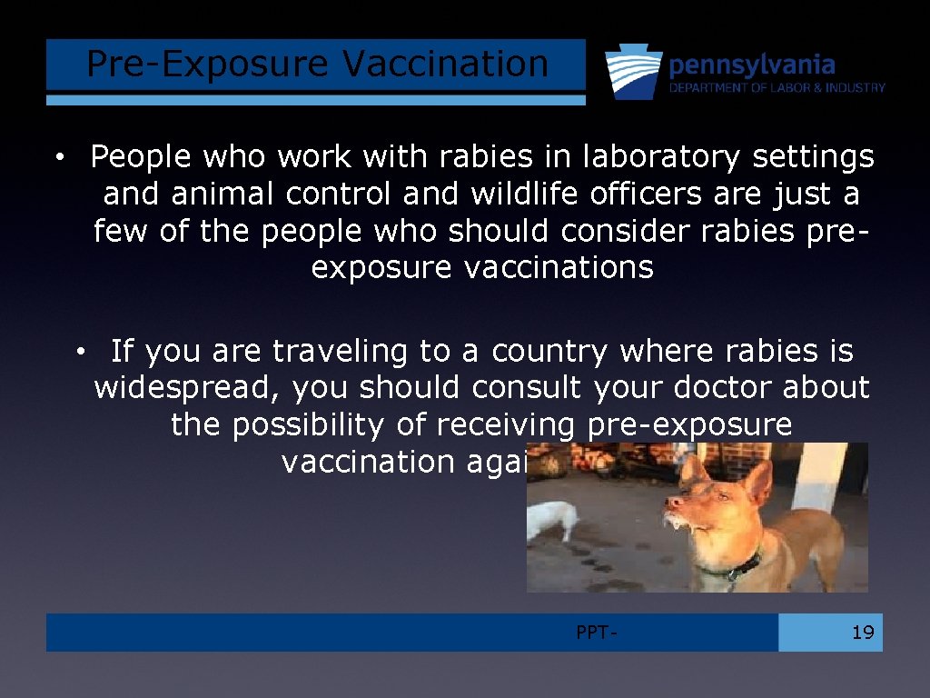 Pre-Exposure Vaccination • People who work with rabies in laboratory settings and animal control