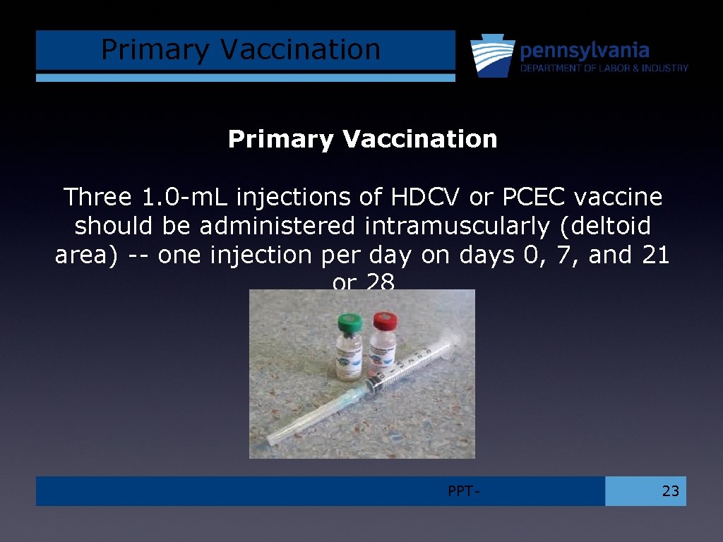 Primary Vaccination Three 1. 0 -m. L injections of HDCV or PCEC vaccine should