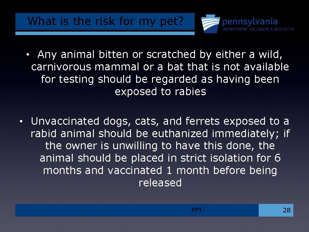 What is the risk for my pet? • Any animal bitten or scratched by