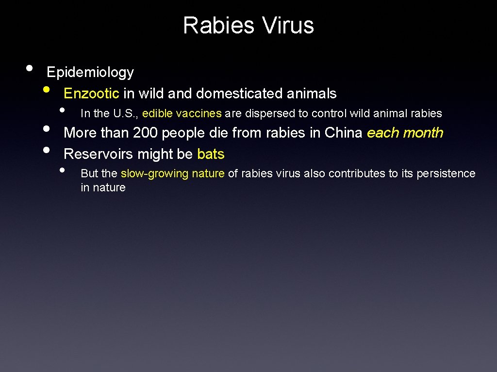 Rabies Virus • Epidemiology Enzootic in wild and domesticated animals • • In the