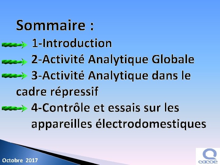 Sommaire : 1 -Introduction 2 -Activité Analytique Globale 3 -Activité Analytique dans le cadre