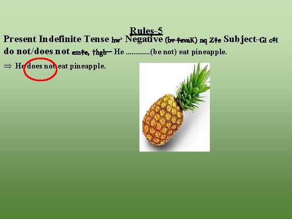 Rules-5 Present Indefinite Tense hw` Negative (bv-‡eva. K) nq Z‡e Subject-Gi c‡i do not/does