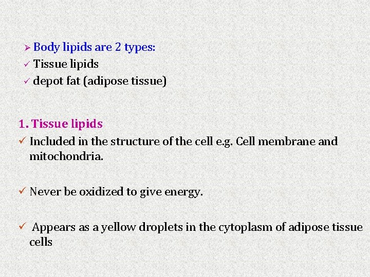 Body lipids are 2 types: ü Tissue lipids ü depot fat (adipose tissue) Ø