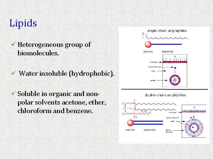 Lipids ü Heterogeneous group of biomolecules. ü Water insoluble (hydrophobic). ü Soluble in organic