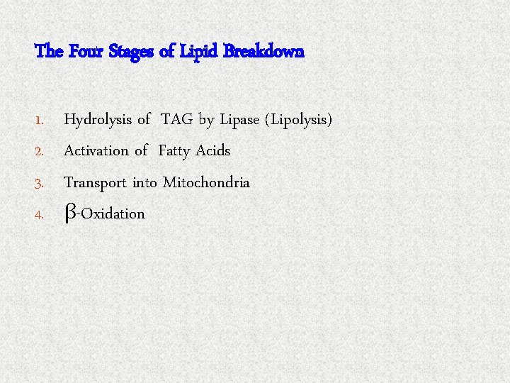 The Four Stages of Lipid Breakdown 1. Hydrolysis of TAG by Lipase (Lipolysis) 2.