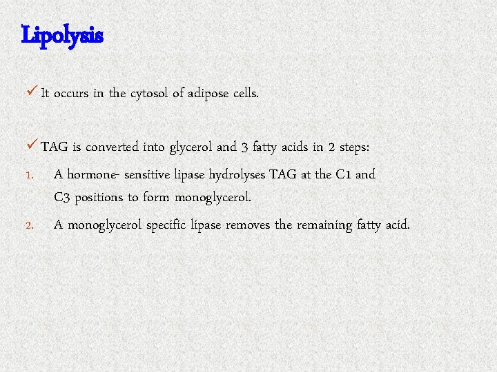 Lipolysis ü It occurs in the cytosol of adipose cells. ü TAG is converted