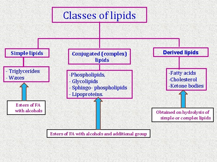 Classes of lipids Simple lipids - Triglycerides - Waxes Conjugated (complex) lipids -Phospholipids, -