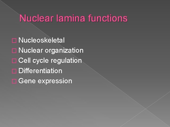 Nuclear lamina functions � Nucleoskeletal � Nuclear organization � Cell cycle regulation � Differentiation
