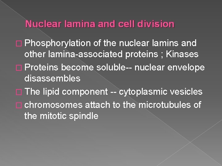 Nuclear lamina and cell division � Phosphorylation of the nuclear lamins and other lamina-associated