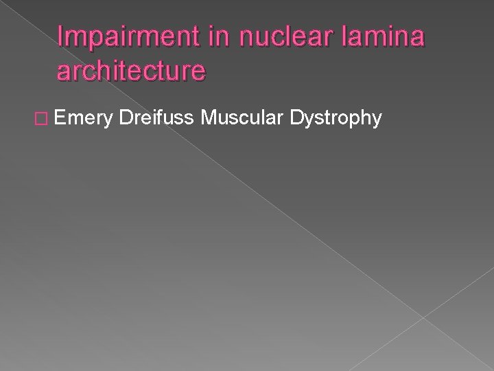 Impairment in nuclear lamina architecture � Emery Dreifuss Muscular Dystrophy 
