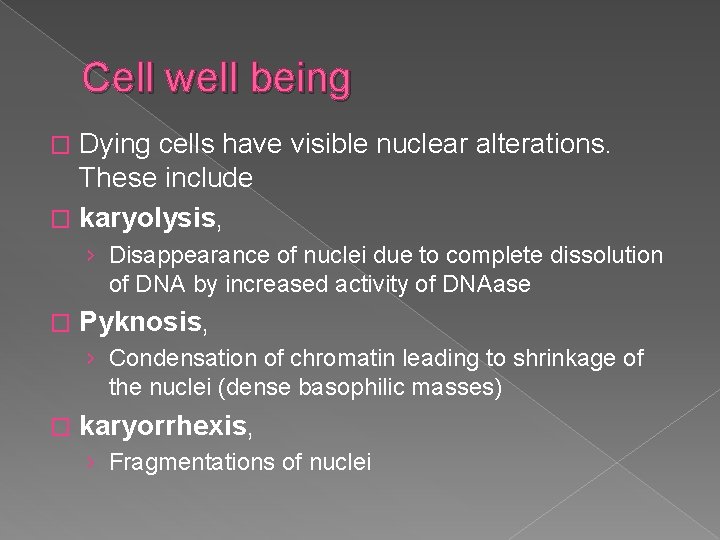 Cell well being Dying cells have visible nuclear alterations. These include � karyolysis, �