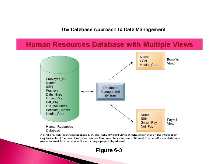 The Database Approach to Data Management Human Resources Database with Multiple Views A single