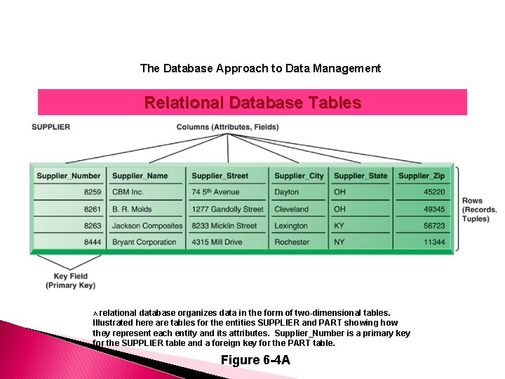 The Database Approach to Data Management Relational Database Tables A relational database organizes data
