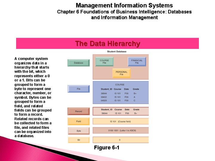 Management Information Systems Chapter 6 Foundations of Business Intelligence: Databases and Information Management The