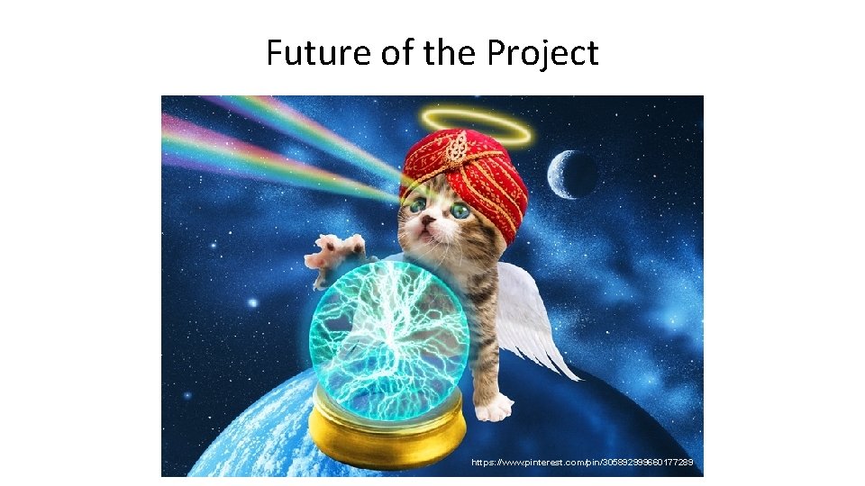 Future of the Project https: //www. pinterest. com/pin/305892999660177289 