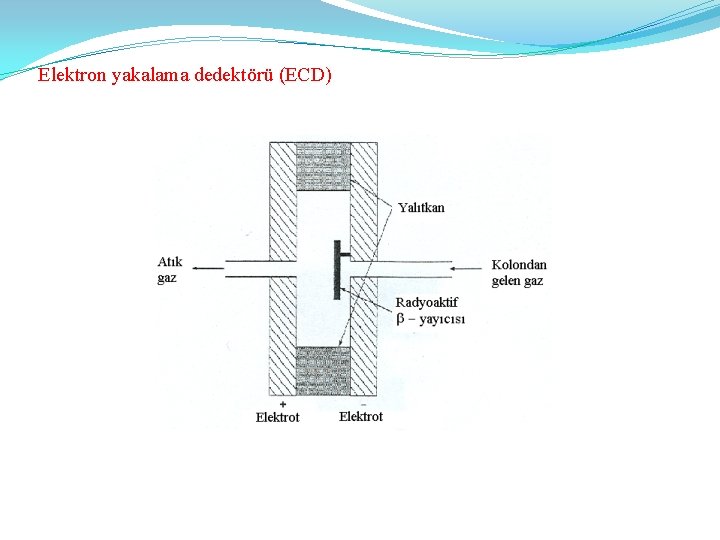 Elektron yakalama dedektörü (ECD) 