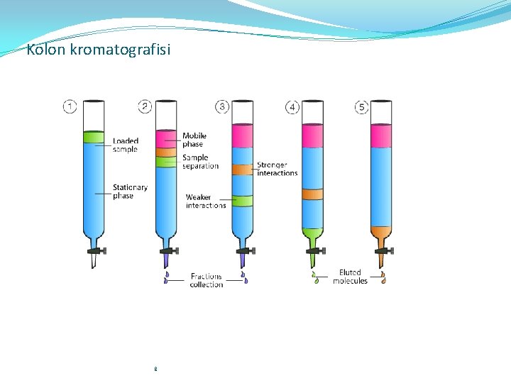 Kolon kromatografisi 8 