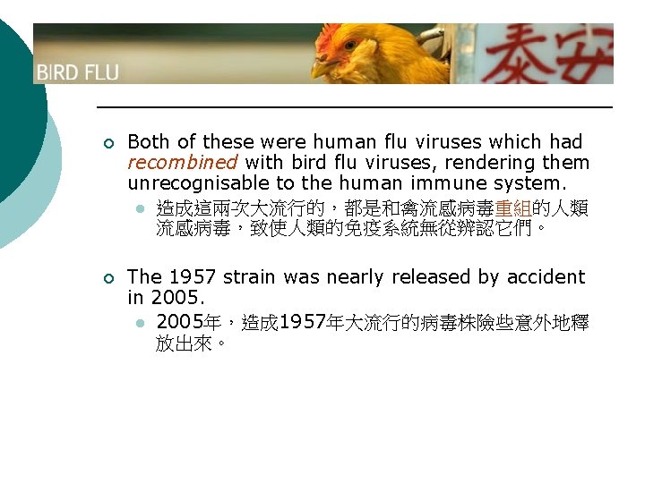 ¡ Both of these were human flu viruses which had recombined with bird flu