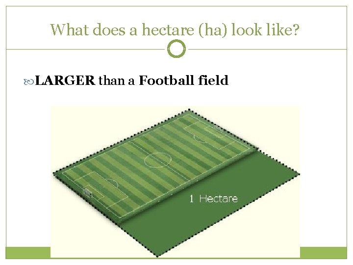 What does a hectare (ha) look like? LARGER than a Football field 
