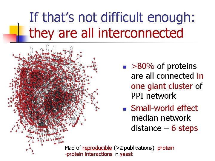 If that’s not difficult enough: they are all interconnected n n >80% of proteins
